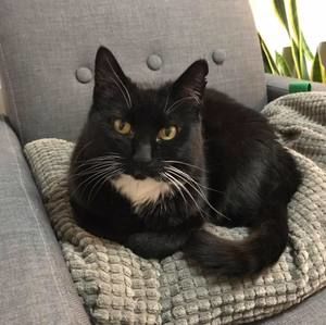 Meet your Posher, Mi